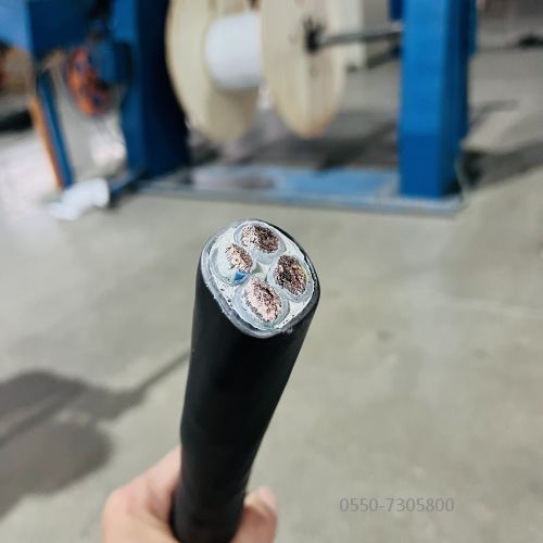 ���ֵ���.299.jpg