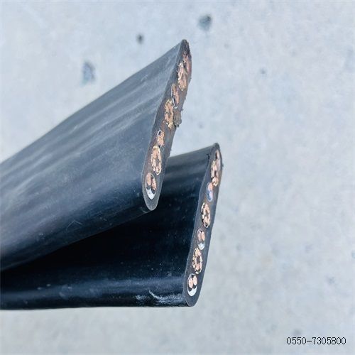 特种电缆厂家309.jpg 特种电缆厂家309.jpg