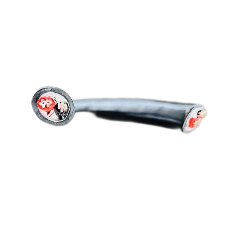 IMG_0569 (2).png