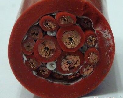 和记娱乐·H88(中国游)怡情博娱官网