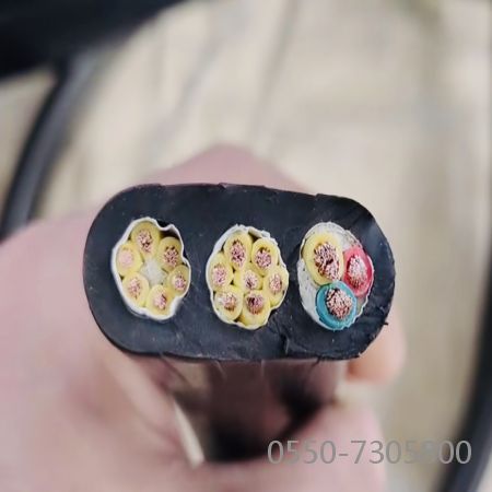 和记娱乐��H88(�й���)���鲩�����