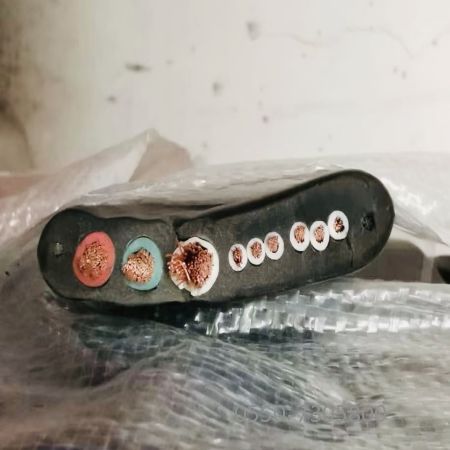 和记娱乐��H88(�й���)���鲩�����
