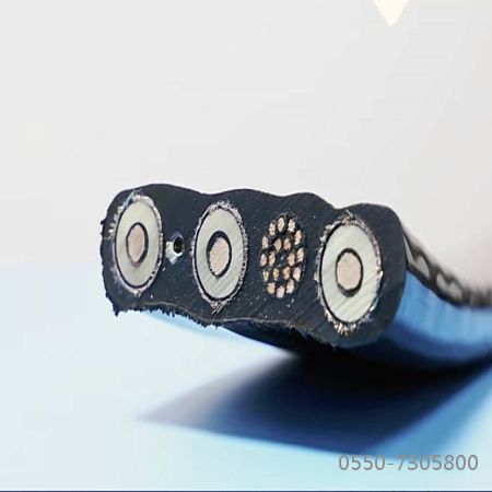 和记娱乐��H88(�й���)���鲩�����