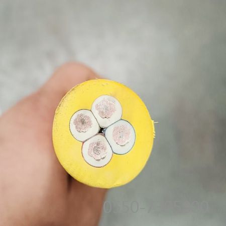 和记娱乐��H88(�й���)���鲩�����