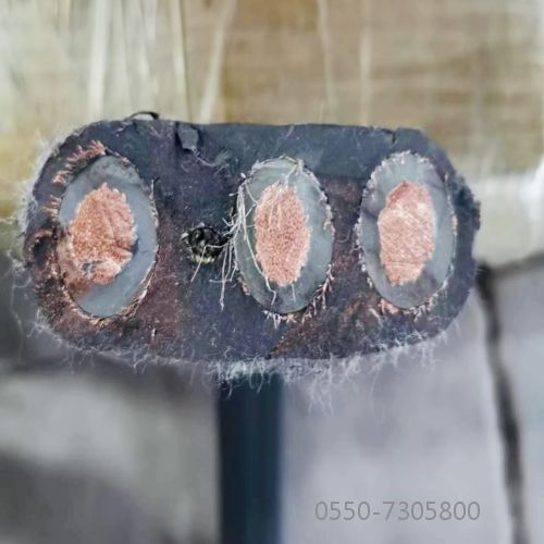 和记娱乐��H88(�й���)���鲩�����