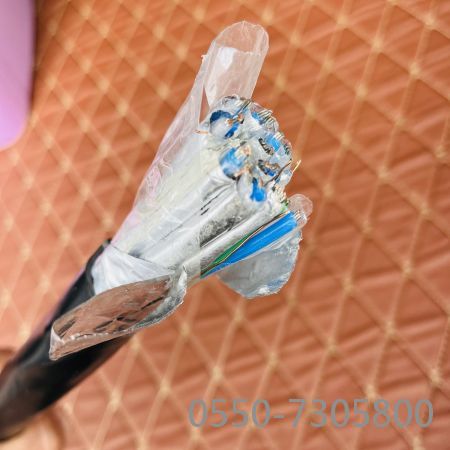 和记娱乐H88(й)鲩