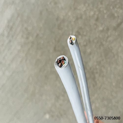 和记娱乐��H88(�й���)���鲩�����