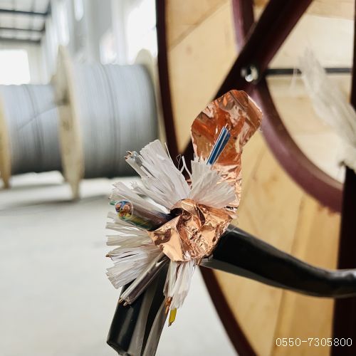 和记娱乐��H88(�й���)���鲩�����