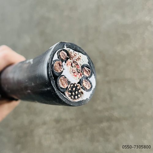 和记娱乐��H88(�й���)���鲩�����