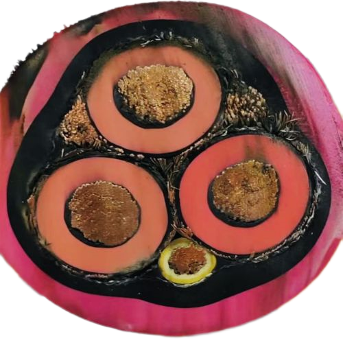 和记娱乐·H88(中国游)怡情博娱官网