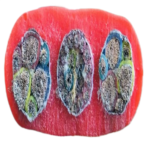 和记娱乐·H88(中国游)怡情博娱官网