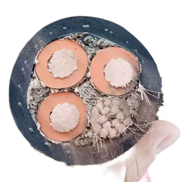 和记娱乐·H88(中国游)怡情博娱官网