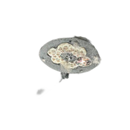 和记娱乐��H88(�й���)���鲩�����