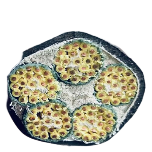 和记娱乐·H88(中国游)怡情博娱官网