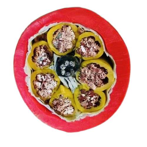 和记娱乐·H88(中国游)怡情博娱官网