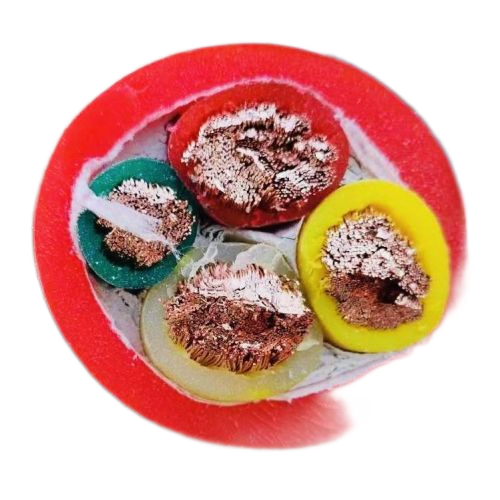 和记娱乐·H88(中国游)怡情博娱官网