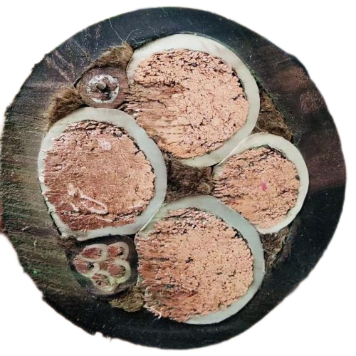 和记娱乐·H88(中国游)怡情博娱官网